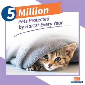 img 3 attached to 😺 Hartz UltraGuard Purple Flea & Tick Collar: 7-Month Protection for Cats and Kittens