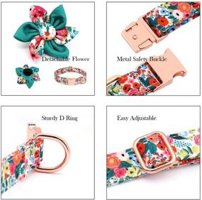 img 1 attached to 🌸 Adjustable Girl Dog Collar with Flower - Cute, Soft & Durable Floral Collar for Small, Medium, Large Dogs – Sturdy Design with Safety Metal Buckle – Fits Necks 11.5-24.5’’ - DALUZ