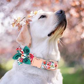 img 3 attached to 🌸 Adjustable Girl Dog Collar with Flower - Cute, Soft & Durable Floral Collar for Small, Medium, Large Dogs – Sturdy Design with Safety Metal Buckle – Fits Necks 11.5-24.5’’ - DALUZ