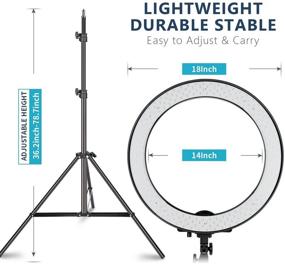 img 2 attached to 📸 Набор Neewer с диммерной SMD светодиодной кольцевой лампой диаметром 18 дюймов, включающий стойку высотой 78.7 дюймов, фильтр и переходник для горячей обувки - идеально подходит для фотостудии, освещения светодиодными лампами, портретов, видео на YouTube и TikTok - сумка для переноски не включена.