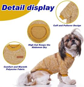 img 1 attached to Winter Essentials: 2-Pack Dog Sweater Clothes - Soft, Warm & Fashionable for Tiny, Small, Medium Dogs - 2 Colors Included!