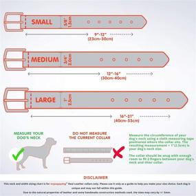 img 1 attached to 🐶 mypappydog Genuine Leather Dog Collar - Ideal for Small to Medium Dogs and Puppies with Double D-Ring for ID Tag and Leash - Soft, Comfortable, and Durable Collars - Available in 3 Sizes and 3 Stylish Designs - Use the Sizing Chart for Accurate Measurement