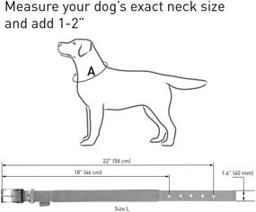 img 1 attached to 🐾 Nylon Reflective Dog Collar with Metal Buckle - Adjustable & Heavy Duty for Small, Medium, Large Dogs & Puppies - Red, Blue, Black - Enhanced Safety & Durability