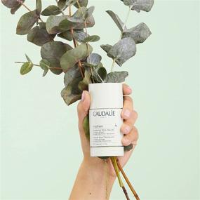 img 3 attached to 💨 Caudalie Vinofresh: Unleash the Power of Nature with this Effective Natural Deodorant