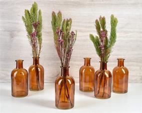 img 2 attached to 🏺 Serene Spaces Living Amber Bud Vases, Apothecary Jars, and Decorative Glass Bottles: Elegant Centerpieces for Wedding Reception and Home Decor - Set of 6