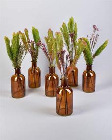 img 1 attached to 🏺 Serene Spaces Living Amber Bud Vases, Apothecary Jars, and Decorative Glass Bottles: Elegant Centerpieces for Wedding Reception and Home Decor - Set of 6