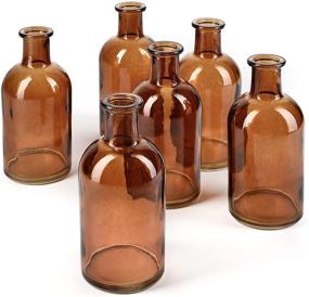 img 4 attached to 🏺 Serene Spaces Living Amber Bud Vases, Apothecary Jars, and Decorative Glass Bottles: Elegant Centerpieces for Wedding Reception and Home Decor - Set of 6