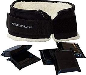 img 3 attached to Activedogs Muscle Building Weighted Collar