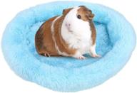 🐹 cozy comfort for small pets: guinea pig, hamster, hedgehog beds and more! logo