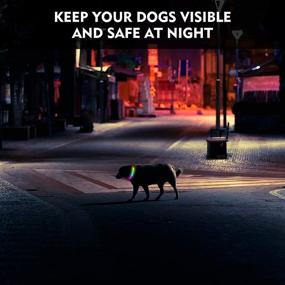 img 2 attached to 🐶 NOVKIN RGB LED Dog Collar: Rechargeable, Waterproof & Safety Lights for Night Walking, Outdoor Activities, Camping, Suitable for Small, Medium & Large Dogs