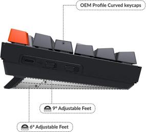 img 1 attached to 💻 Keychron K8 Tenkeyless Wireless Mechanical Keyboard for Mac: White Backlight, Bluetooth, Multitasking, Gateron Blue Switch, Type-C Wired Gaming Keyboard for Windows