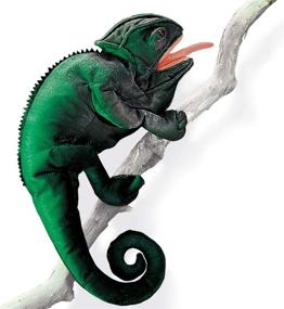 img 3 attached to 🦎 Folkmanis 2215 Chameleon Hand Puppet: Colorful and Interactive Puppet for Imaginative Play