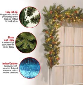 img 2 attached to 🎄 9-Foot Pre-Lit Artificial Christmas Garland by National Tree Company - Green Wintry Pine with White Lights, Decorated with Pine Cones and Berry Clusters - Plug-In for Christmas Collection