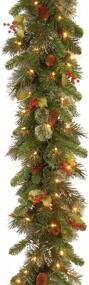 img 4 attached to 🎄 9-Foot Pre-Lit Artificial Christmas Garland by National Tree Company - Green Wintry Pine with White Lights, Decorated with Pine Cones and Berry Clusters - Plug-In for Christmas Collection