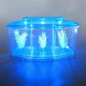 img 4 attached to 🐠 Alfie Pet - Baird Betta Aquarium Kit with 2 Separate Compartments