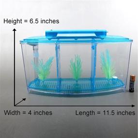 img 3 attached to 🐠 Alfie Pet - Baird Betta Aquarium Kit with 2 Separate Compartments