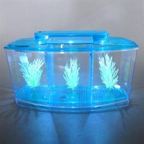 img 2 attached to 🐠 Alfie Pet - Baird Betta Aquarium Kit with 2 Separate Compartments