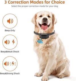 img 2 attached to 🐶 TTPet Wired Pet Containment System: Waterproof Electric Dog Fence with Rechargeable Collar, Shock & Tone Correction, 700Ft Wire - Ultimate Pet Safety Solution!