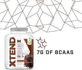 img 2 attached to XTEND Pro Protein Powder Chocolate Lava Cake: 100% Whey Protein 🍫 Isolate, Keto-Friendly, 7g BCAAs, Natural Flavors, Gluten-Free, Low Fat Post Workout Drink (5lbs)