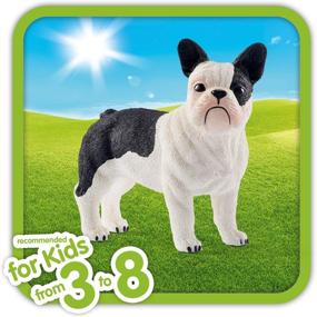 img 3 attached to 🐶 Authentic Schleich French Bulldog Toy Figurine: Lifelike and Engaging Collectible!