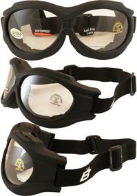 img 1 attached to 🕶️ Birdz Eyewear - The Buzzard - Motorcycle Goggle with Clear Lens for Over Glasses