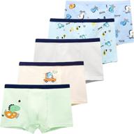 🦖 booph dinosaur toddler multicolored boys' clothing - optimized underwear логотип