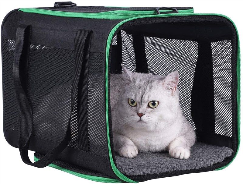 Buy Top Load Pet Carrier for Large, Medium Cats, 2 Cats and Small Dogs with  Comfy Bed. Easy to Get Cat in, Escape Proof, Easy Storage, Washable, Safe  and Comfortable for Vet