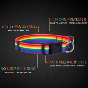 img 1 attached to Native Pup Rainbow Flag Dog Collar: Celebrate 🌈 Pride with LGBTQ Equality Pet Apparel & Accessories (Medium)
