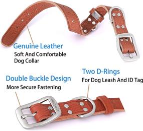 img 2 attached to Compuda Leather Dog Collar Adjustable