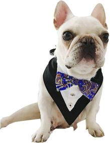 img 3 attached to 🐶 Stock Show Formal Tuxedo Bandana Collar for Small to Medium Dogs - Elegant Bowtie and Adjustable Neckerchief Perfect for Wedding, Party, Costume, Gift, and Birthday