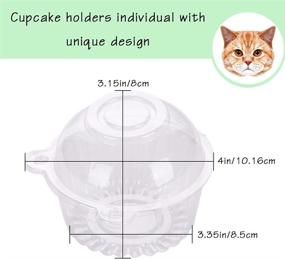 img 3 attached to 🧁 70-Pack Clear Plastic Dome Single Cupcake Holders Containers, Cupcake Holder with Individual Muffin Cases Boxes