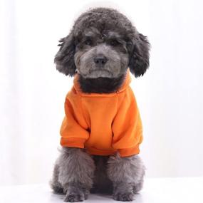 img 2 attached to 🐶 Puppy Apparel: Cozy Hooded Sweatshirt with Pocket for Small to Medium Dogs, Winter Sweater Coat for Ultimate Warmth