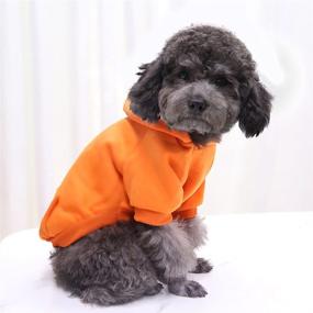 img 3 attached to 🐶 Puppy Apparel: Cozy Hooded Sweatshirt with Pocket for Small to Medium Dogs, Winter Sweater Coat for Ultimate Warmth