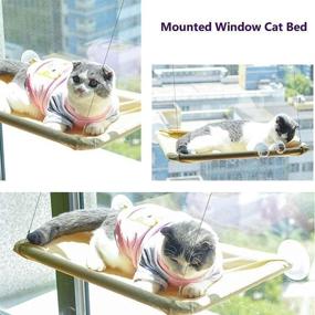 img 1 attached to 🐱 MQ Cat Window Perch Bed with Fannel Blanket - 360° Sunbath Space Save Design | Extra Strong Screw Suction Cups Shelf | Holds Up to 50lbs | Latest 2021 Edition | Ideal for Large and Small Cats