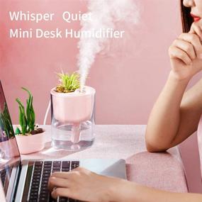 img 3 attached to 🌿 DCMEKA Desk Humidifier: USB Cool Mist Mini Humidifier with Led Light and Artificial Plant, Ideal for Bedroom, Home, Office, Car - Lasts Up to 10 Hours