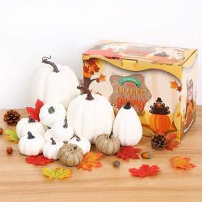 img 2 attached to 🎃 AOLIGE 12-Piece Fall Harvest White Pumpkins Decor with Assorted Fake Pumpkins for Halloween and Thanksgiving Festivities