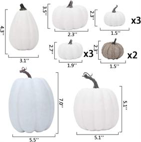 img 3 attached to 🎃 AOLIGE 12-Piece Fall Harvest White Pumpkins Decor with Assorted Fake Pumpkins for Halloween and Thanksgiving Festivities