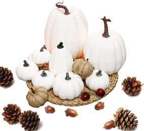 img 4 attached to 🎃 AOLIGE 12-Piece Fall Harvest White Pumpkins Decor with Assorted Fake Pumpkins for Halloween and Thanksgiving Festivities