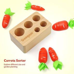 img 3 attached to Coogam Baby Carrots Sorting Toy: Montessori Color Shape Sorter Game for Toddlers - Develop Fine Motor Skills, Early Learning Educational Gift