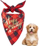 lalfpet birthday bandana triangle medium logo