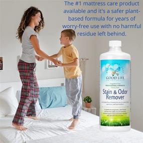 img 1 attached to 🌿 Plant-Based Stain Remover and Odor Eliminator - Ideal for Mattress, Baby Crib, Pet Bed, Couch, Carpet, Blood, Poop, Vomit, Urine, and Incontinence Issues - Enzyme Formula 32oz