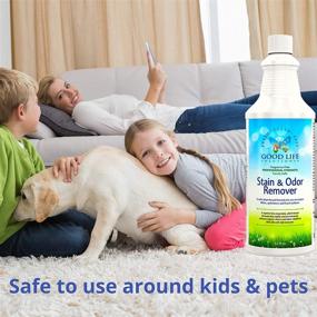 img 2 attached to 🌿 Plant-Based Stain Remover and Odor Eliminator - Ideal for Mattress, Baby Crib, Pet Bed, Couch, Carpet, Blood, Poop, Vomit, Urine, and Incontinence Issues - Enzyme Formula 32oz