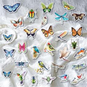 img 3 attached to 240 Assorted Styles Butterfly Insect Stickers: Decorative Scrapbook & DIY Accessories for Journals, Planners, Laptops & More