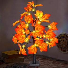 img 1 attached to 🍁 24 Inch Fall Lighted Maple Tree Decor with 24 LED Lights - Battery Operated Autumn Table Lights, Perfect for Indoor Home, Wedding, Christmas Decorations - Artificial Maple Tree for Indoor Autumn, Party Gift