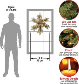 img 2 attached to 🎄 National Tree Company 18-Inch Pre-Lit Artificial Christmas Star Wreath, Green Dunhill Fir with White Lights, Decorated Pine Cones, Frosted Branches - Christmas Collection