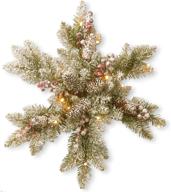 🎄 national tree company 18-inch pre-lit artificial christmas star wreath, green dunhill fir with white lights, decorated pine cones, frosted branches - christmas collection logo