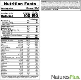 img 1 attached to NaturesPlus SPIRU-TEIN Chocolate Plant-Based Protein Shake 5 lb - Pack of 2, Non-GMO, Vegetarian, Gluten-Free - 162 Servings