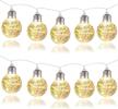 mtsce christmas lights indoor seasonal decor logo