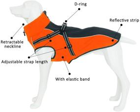 img 3 attached to 🐶 InnoPet Waterproof Windproof Dog Winter Coat with Harness - Ultimate Outdoor Warmth for Medium and Large Dogs