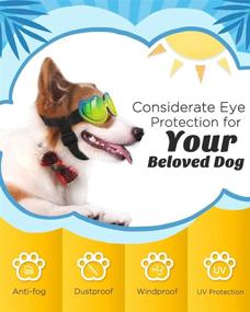 img 2 attached to 🐶 Lewondr Small Dog Sunglasses: Ultimate Eye Protection with UV Reflective Lens, Adjustable Strap, Waterproof, Windproof & Anti-Fog – Top-rated Pet Sunglasses for Dogs